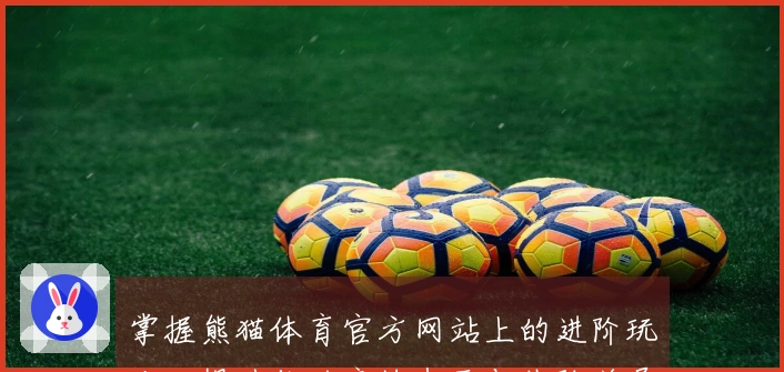 掌握熊猫体育官方网站上的进阶玩法，提升你的竞技水平与体验差异