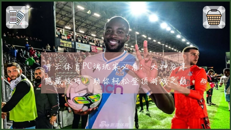 开云体育PC端玩家必看：大神分享隐藏技巧，助你轻松登顶游戏之巅